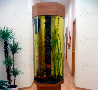 Пресноводный аквариум-башня шестигранный