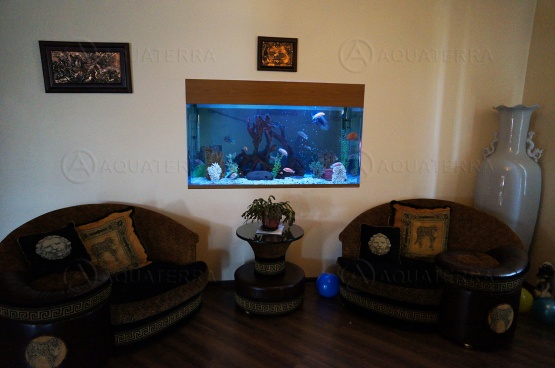 Пресноводный аквариум в стене