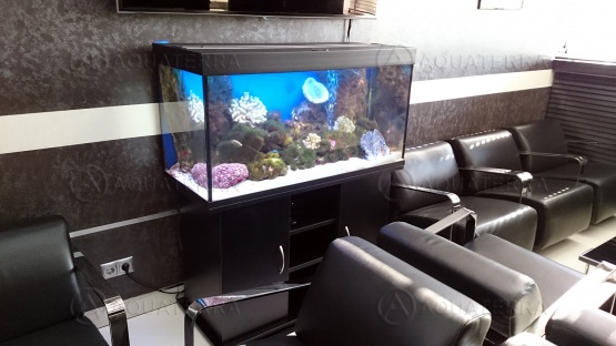 Морской аквариум в офис