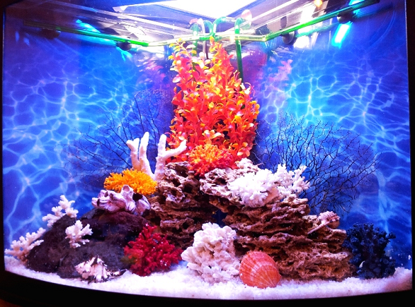 Псевдоморе аквариум на заказ в Москве