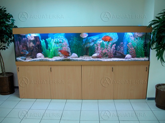 Пресноводный аквариум 02