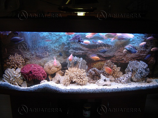 Стандартный аквариум Панорама 450 литров
